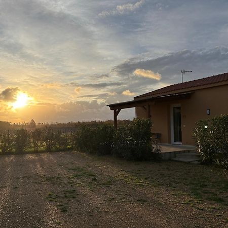 Maris Suite - Appartamento Con Vasca Idromassaggio Alghero Bagian luar foto