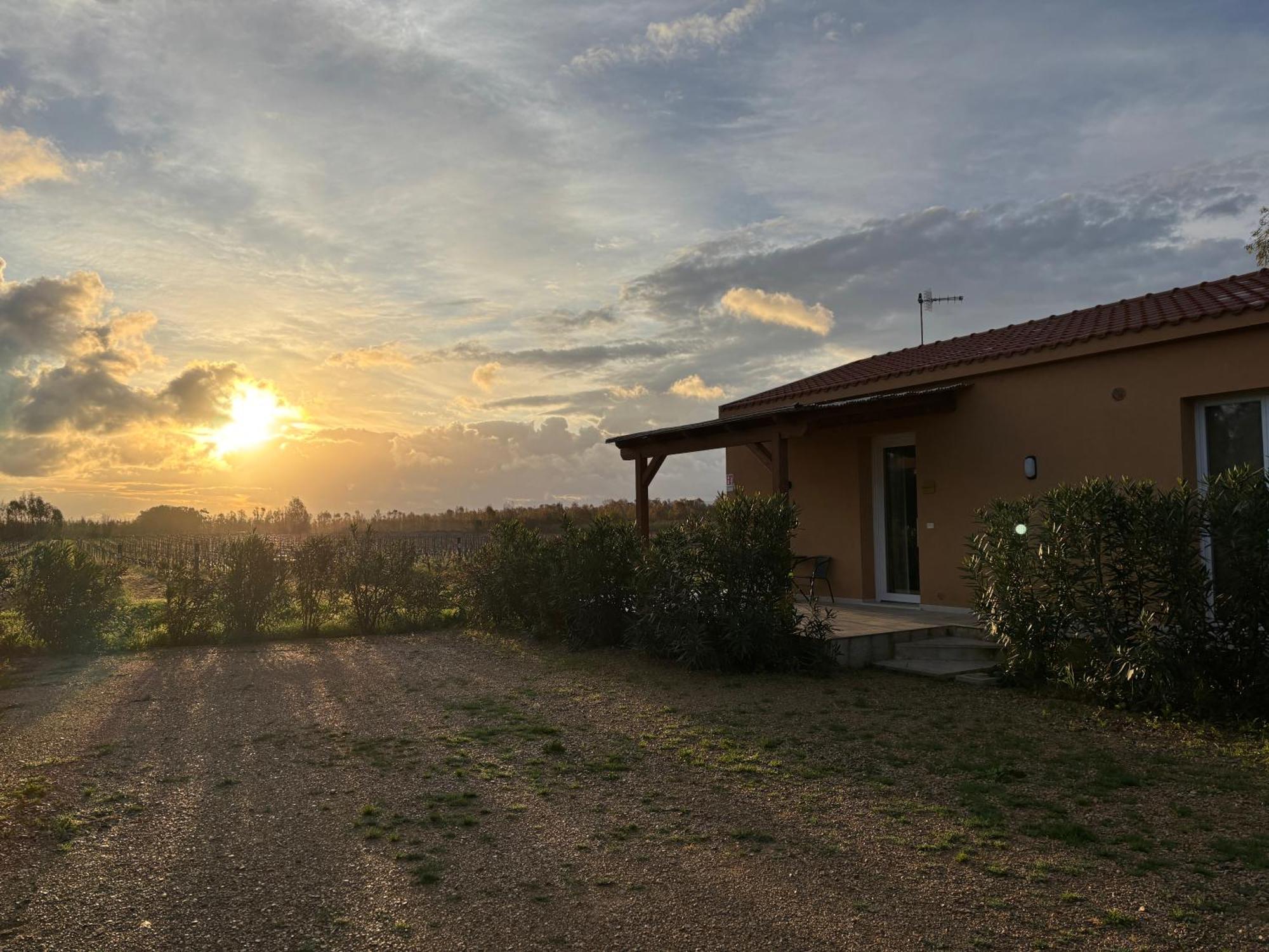 Maris Suite - Appartamento Con Vasca Idromassaggio Alghero Bagian luar foto